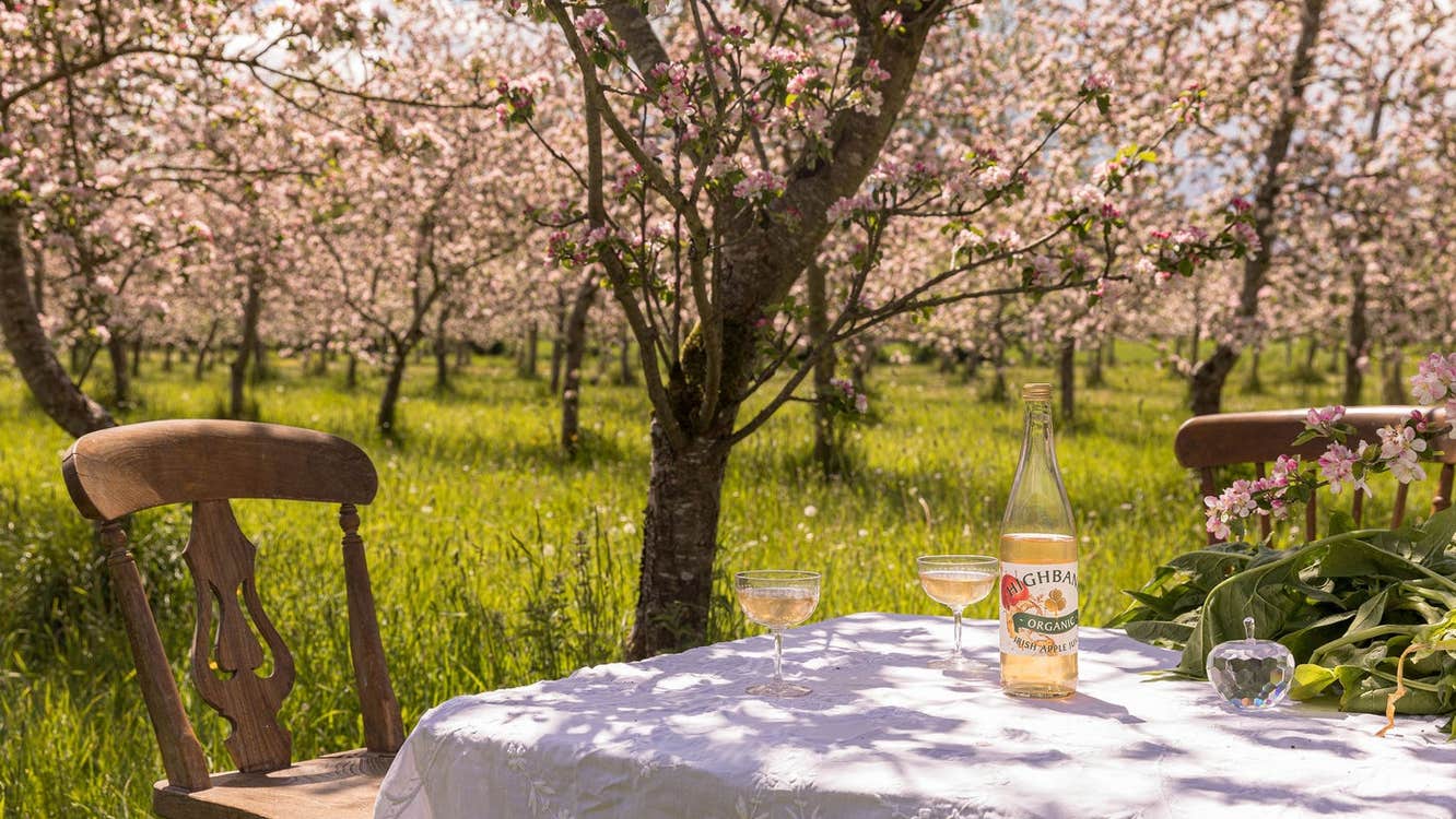 A table with a white tablecloth surrounded by trees full of blossoms