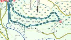 Inchidrisla Loop walk image