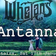 A man resting arm on tall garden stone ornament standing in a hedge garden