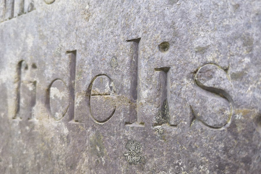Valentia Slate