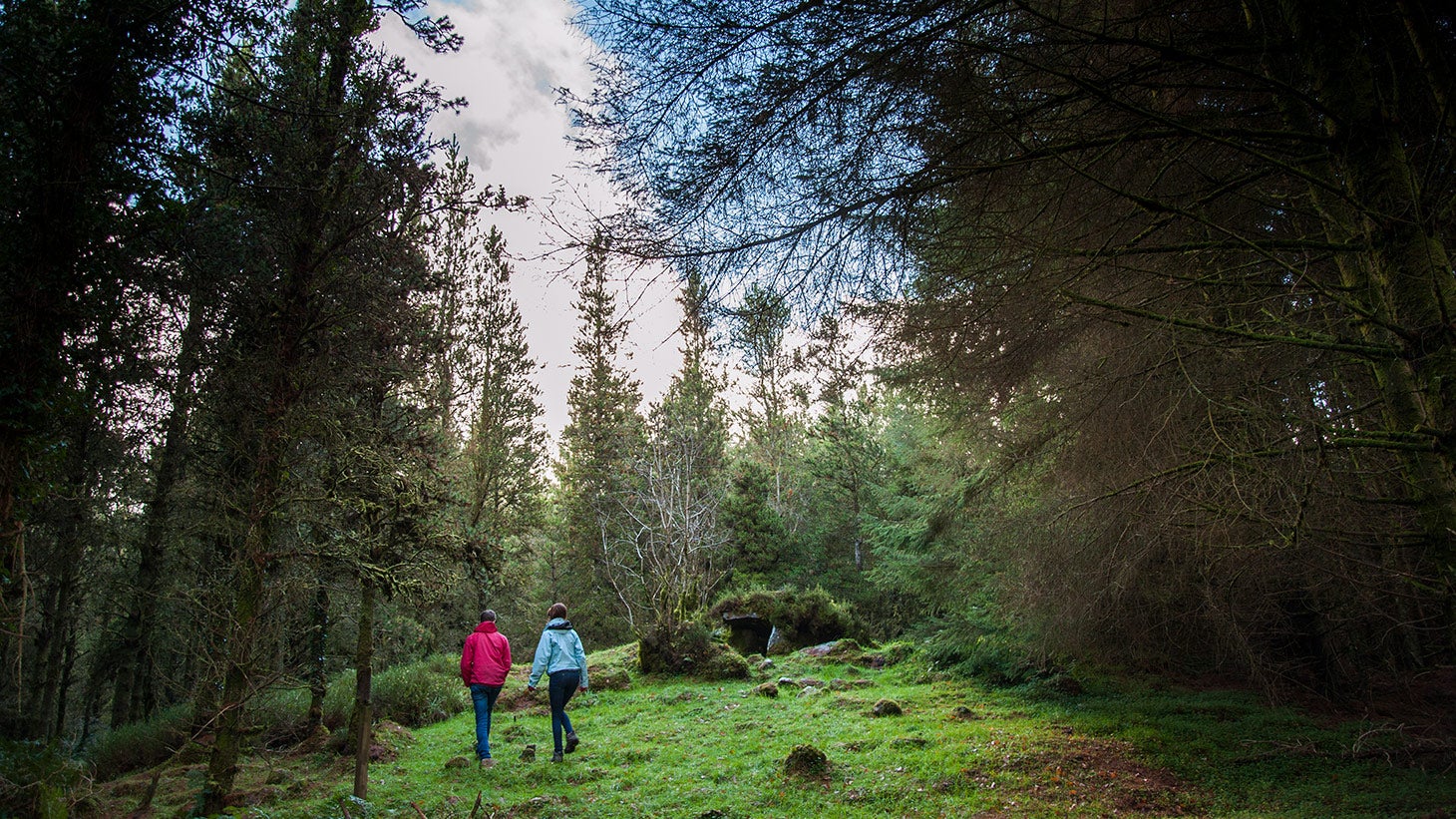 Wander through the magical Cavan Burren Park on your family holiday.