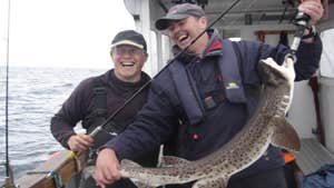 Peche en mer Irlande