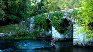 Fishing beside the oldest bridge on the Liffey,near to where Jonathan Swift wrote Gulliver's Travels