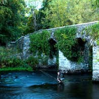 Fishing beside the oldest bridge on the Liffey,near to where Jonathan Swift wrote Gulliver's Travels