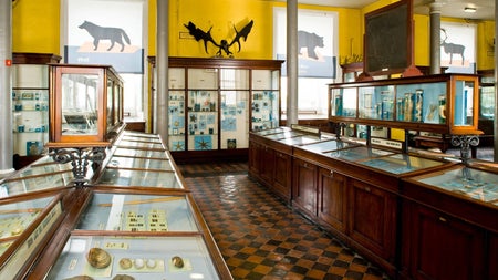 Mahogany coloured display cases with artefacts in a museum setting