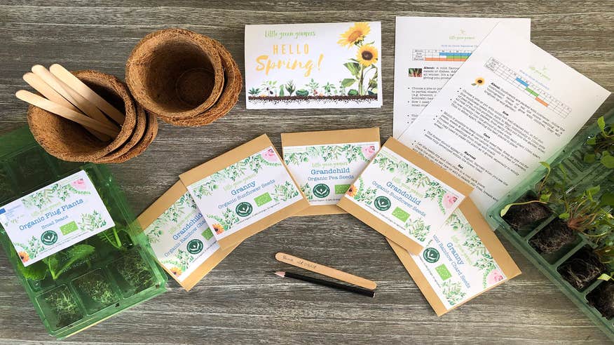 A plant growing kit from Little Green Growers, Galway