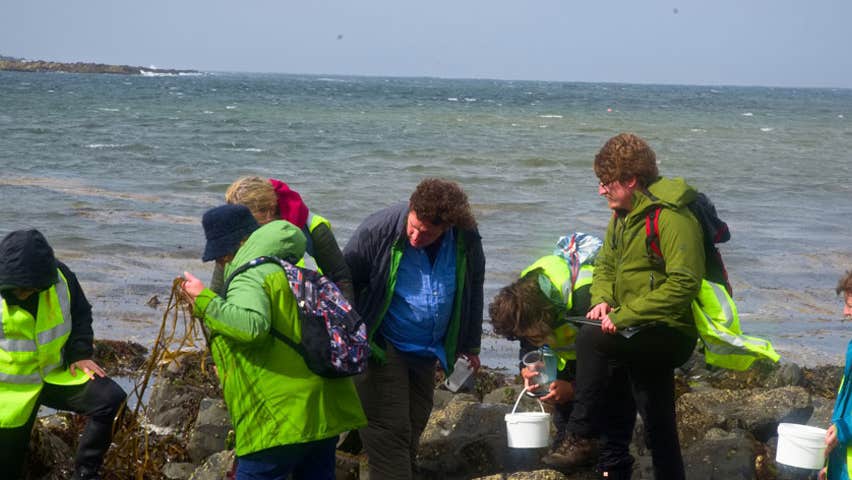 Loophead Summer Hedge School out on a sea weed foraging walk