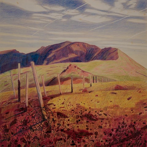 Niall Naessens: A Walk in the Sublime