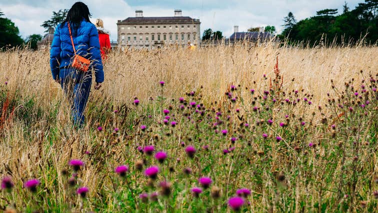People walking through the field at Castletown House in Kildare.