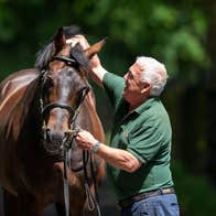 A man adjusting the reins of a horse