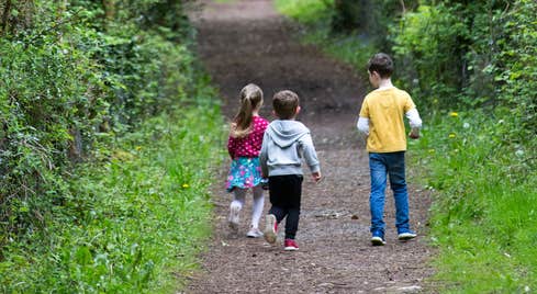 Three children walking down a woodland trail
