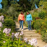 People walking in the National Botanic Gardens in Kilmacurragh, Co Wicklow