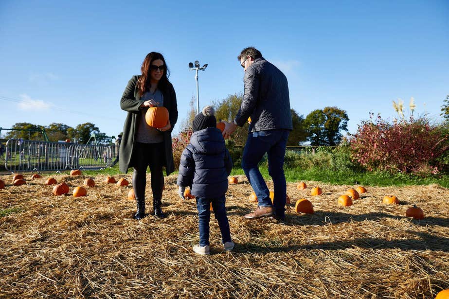Pick your perfect gourd at the pumpkin patch at the Irish Military War Museum in Collon.