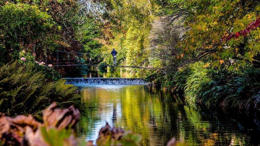 A person standing on a foot bridge over a river at Mount Usher Gardens in County Wickow.