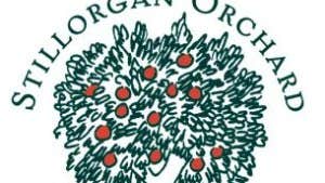 Stillorgan Orchard