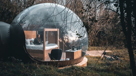 A person sitting on a bed in a glass pod in a woodland