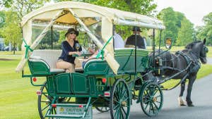 Image of carriage tour