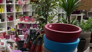 Urban Plant Life Garden Centre