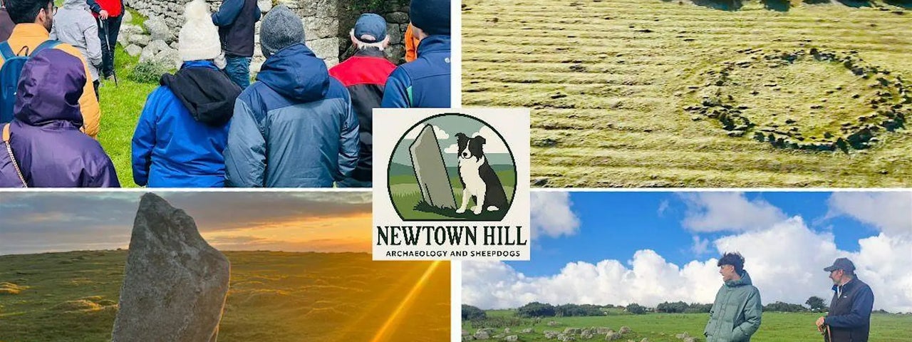 Newtown Hill Sheepdog Demonstration