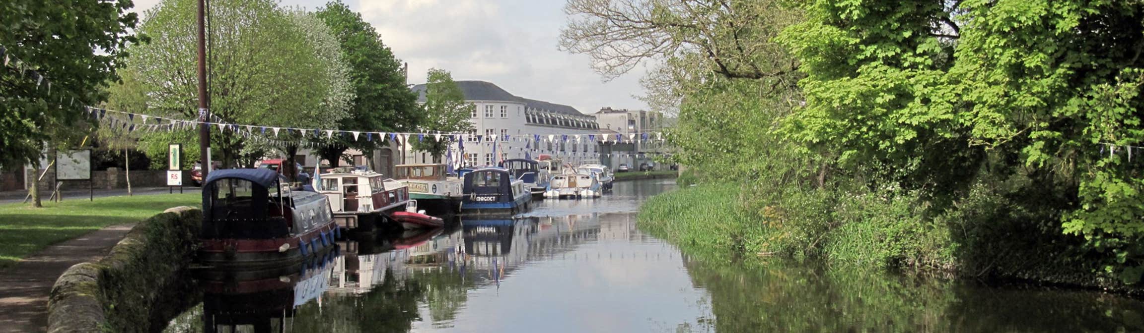 Image of boats on the river in Bagenalstown in County Carlow