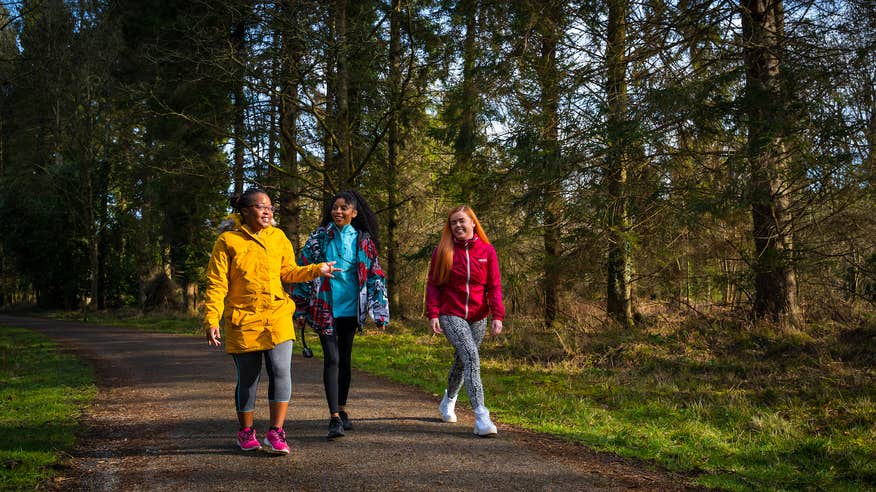 People walking in the Portumna Forest Park in Co Galway
