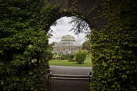 Image of the National Botanic Gardens in Dublin.