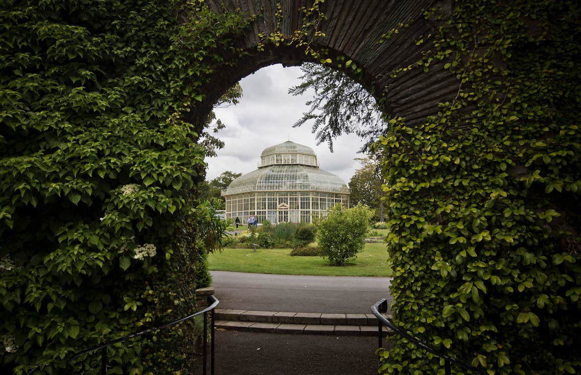 Image of the National Botanic Gardens in Dublin.