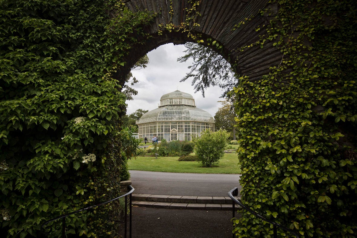 Image of the National Botanic Gardens in Dublin.
