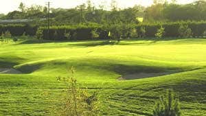 Green at Beaverstown Golf Club with sun shining