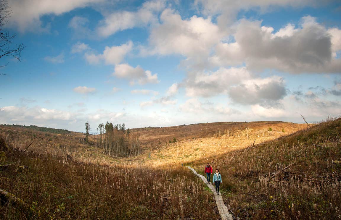 Two people walking on a boardwalk in Cavan Burren Park, County Cavan