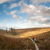 Two people walking on a boardwalk in Cavan Burren Park, County Cavan