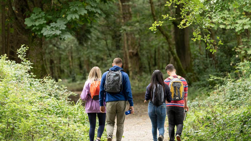People walking in Kilrush Forest in Co Clare