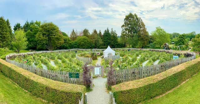 Greenan Maze, Wicklow