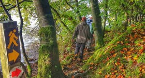 A walker on the loop around Lough Meelagh