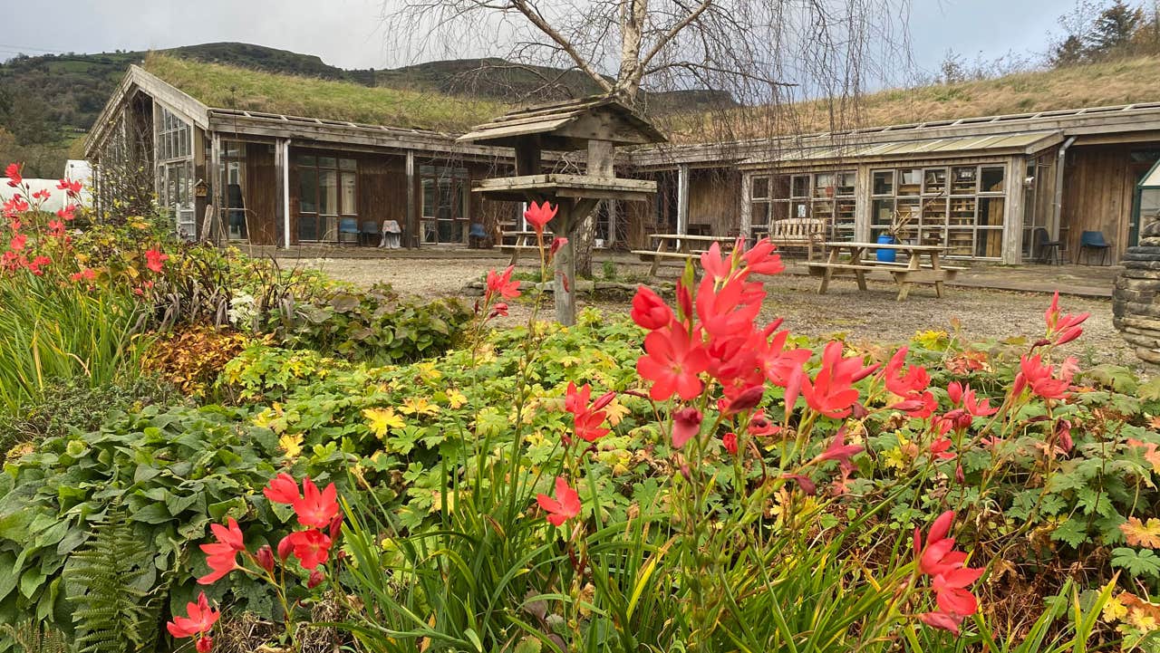 The Organic Centre outside view with orange flowers in the front