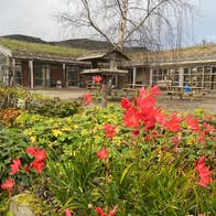 The Organic Centre outside view with orange flowers in the front