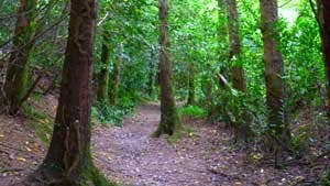 Kilbrittain Trails