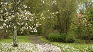 Coolcarrigan House and Gardens