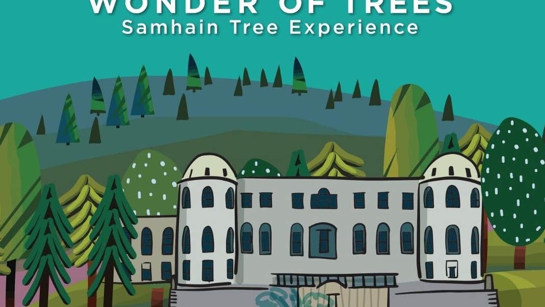 Wonder of Trees: A Samhain Tree Experience