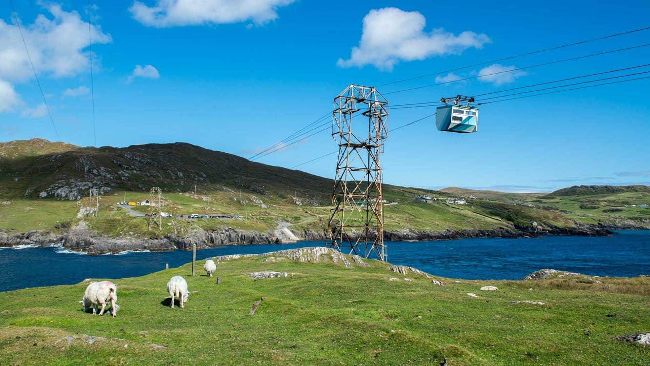 View of Dursey Island Cable Car and field with sheep, Beara Peninsula, County Cork