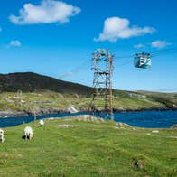 View of Dursey Island Cable Car and field with sheep, Beara Peninsula, County Cork