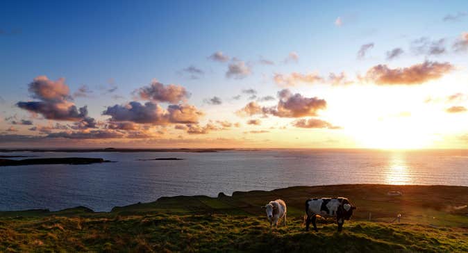 Image of Sky Road in Clifden in County Galway