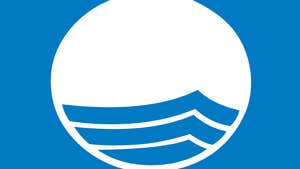 blue flag logo