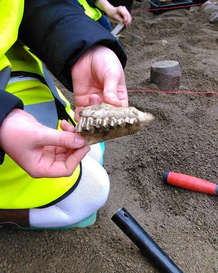 The Big Dig: A Viking Adventure for Kids