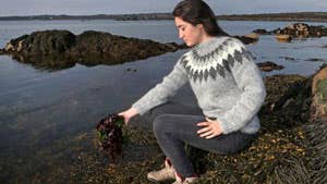 A person foraging for seaweed in the sea.