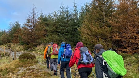 A group of hikers with backpacks and walking sticks hiking up a forestry path