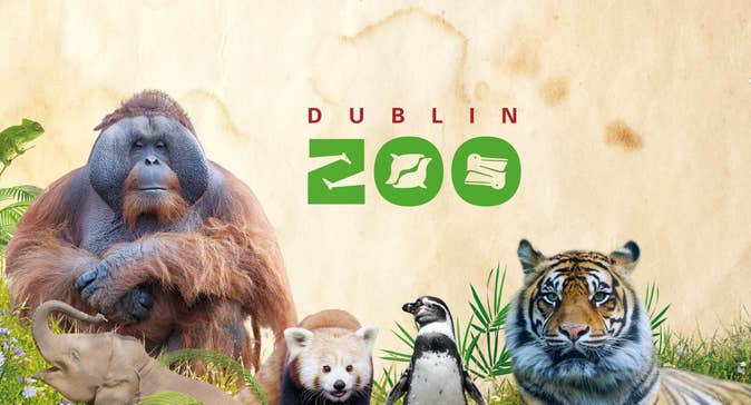 Image of animals that are in Dublin Zoo in County Dublin