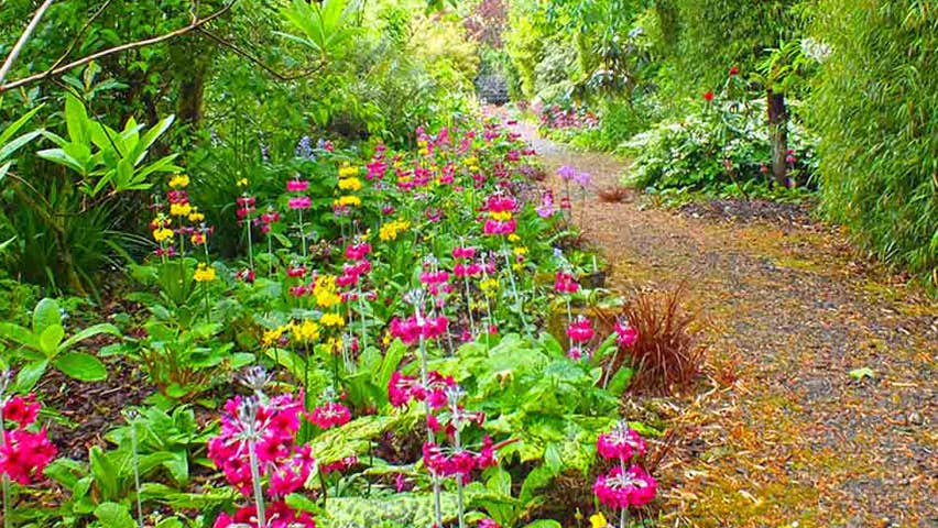 Pathway with red and yellow flowers on left and greenery on right