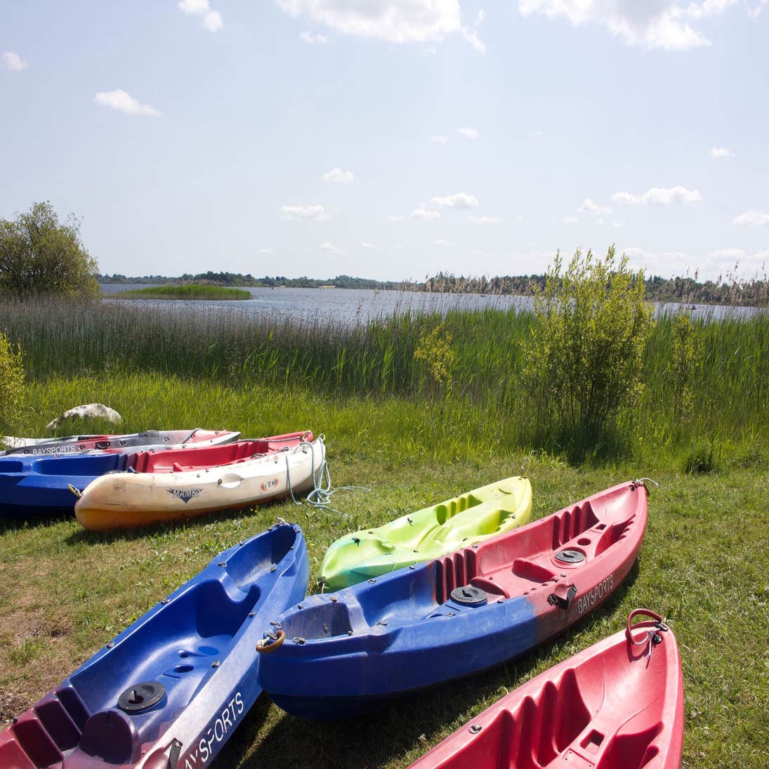 Kayaks resting on the shore of Hodson Bay in Athlone, County Westmeath.