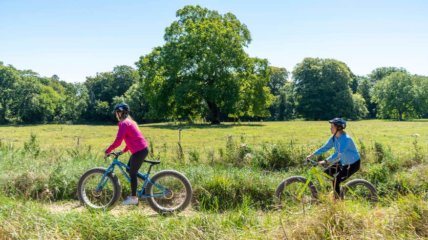 People cycling with Fatbike Adventures Cycling Tours in Co Wicklow